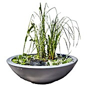 Heissner Gartenbrunnen Solar Wassergarten Lotusgarden (58 x 58 x 19 cm, Kunststoff, Anthrazit) | BAUHAUS