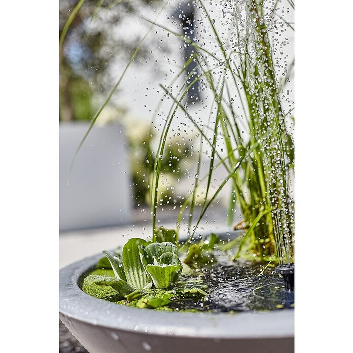 Heissner Gartenbrunnen Solar Wassergarten Lotusgarden (58 x 58 x 19 cm, Kunststoff, Anthrazit) | BAUHAUS