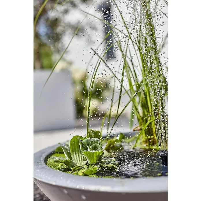 Heissner Zierbrunnen Solar Wassergarten Lotusgarden - Anthrazit, L x B x H: 58 x 58 x 19 cm - Ein kleines, rundes Wasserspiel mit grünen Wasserpflanzen und Gräsern, das Wassertropfen versprüht.