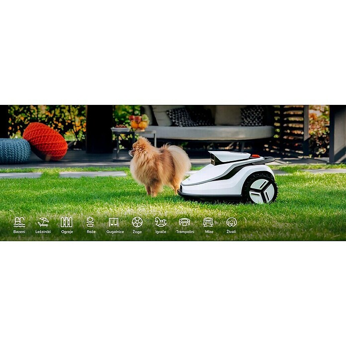 Terramow Set robotske kosilnice Terramow V1000 z garažo  (1.200 m², Širina reza: 20,3 cm, Navigacija s kamero) | 7261 - Mähroboter | IAEA - Rasenmäher | IAE - Gartenmotorgeräte | IA - Gartenhartware | I - Stadtgarten | BAUHAUS