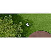 Terramow Set robotske kosilnice Terramow V600 z garažo  (600 m², Širina reza: 20,3 cm, Navigacija s kamero) | 7261 - Mähroboter | IAEA - Rasenmäher | IAE - Gartenmotorgeräte | IA - Gartenhartware | I - Stadtgarten | BAUHAUS