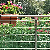 Tenax Malla protectora Quadra 10 (L x Al: 5 x 1 m, Verde) | BAUHAUS
