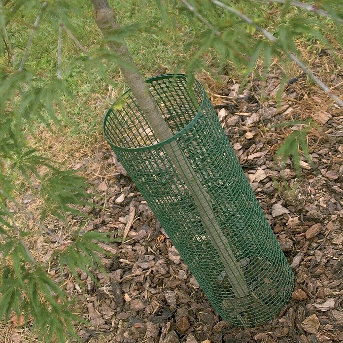 Tenax Malla protectora Quadra 10 (L x Al: 5 x 1 m, Verde) | BAUHAUS