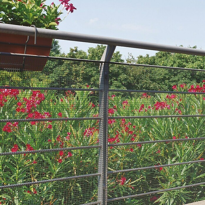 Tenax Malla protectora Quadra 10 (L x Al: 5 x 1 m, Antracita) | BAUHAUS