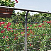 Tenax Malla protectora Quadra 10 (L x Al: 5 x 1 m, Antracita) | BAUHAUS