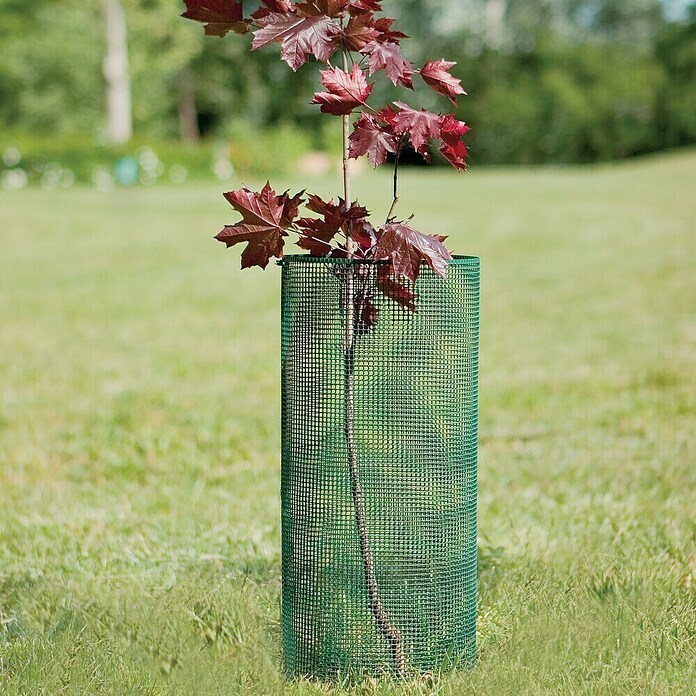 Tenax Malla protectora Quadra 05 (L x Al: 5 x 1 m, Verde) | BAUHAUS