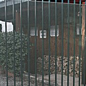 Tenax Malla protectora Quadra 05 (L x Al: 5 x 1 m, Plata) | BAUHAUS