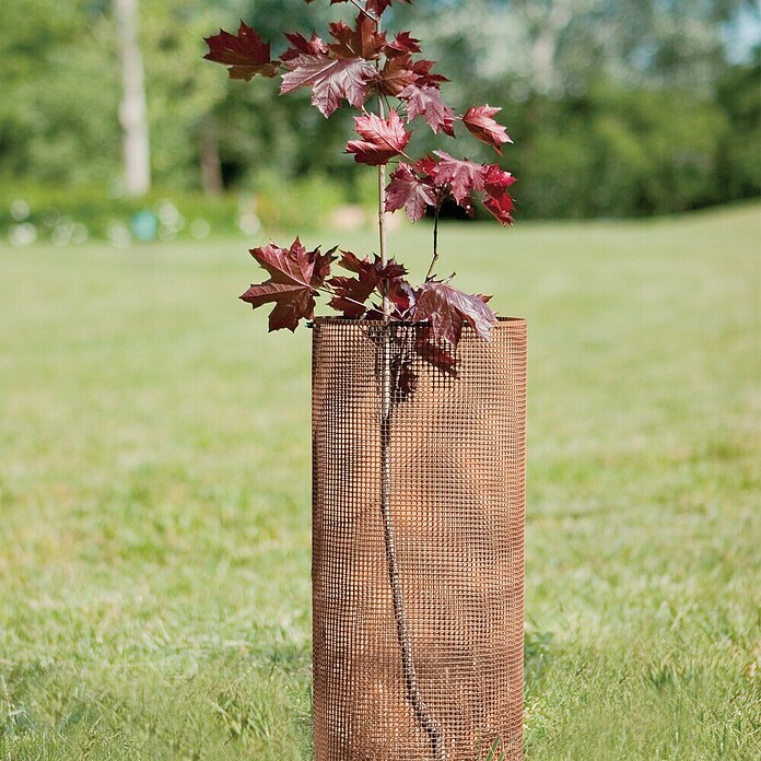 Tenax Malla protectora Quadra 05 (L x Al: 5 x 1 m, Marrón) | BAUHAUS
