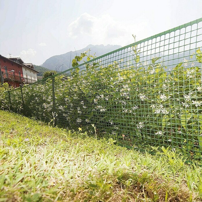 Tenax Malla protectora Quadra 20 (L x Al: 5 x 1 m, Verde) | BAUHAUS