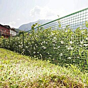 Tenax Malla protectora Quadra 20 (L x Al: 5 x 1 m, Verde) | BAUHAUS