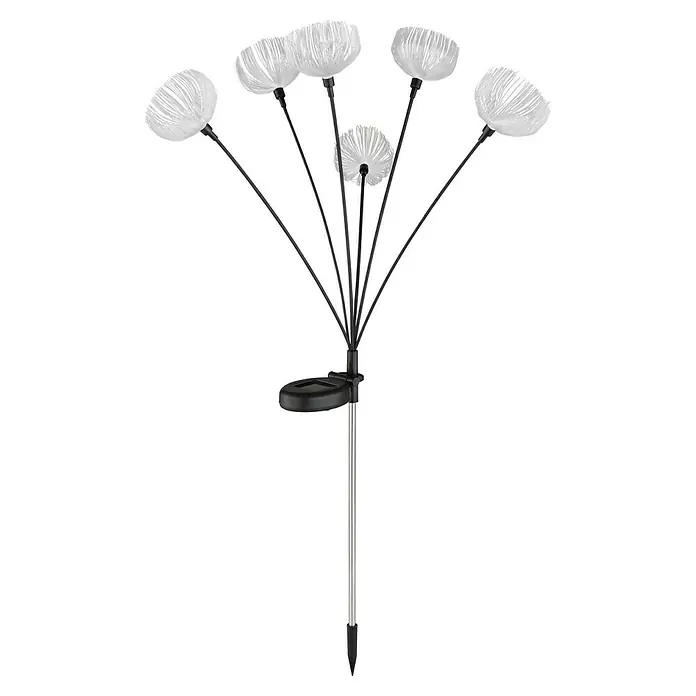 Globo Solar-Dekoleuchte - LED, IP44, Höhe: 70 cm - Solar-Gartenleuchte mit sechs weißen, löwenzahnartigen Faseroptik-Köpfen, schwarzen Stielen und Erdspieß.