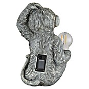 Globo Dekorativna solarna svjetiljka Monkey  (Boja svjetla: Topla bijela, LED, Visina: 27,5 cm) | BAUHAUS