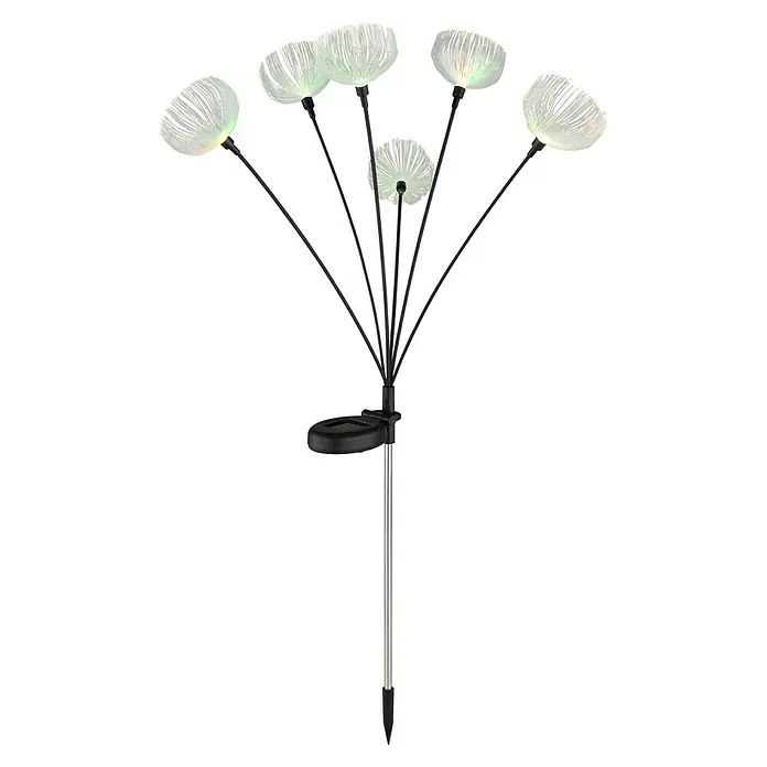 Globo Solar-Dekoleuchte - LED, IP44, Höhe: 70 cm - Solar-Gartenleuchte mit mehreren weißen Glasfaser-Löwenzahn-Köpfen, schwarzen Stielen und einem Erdspieß.