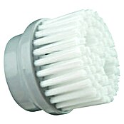 Cepillo de limpieza Horsepower (5 V, Iones de litio) | BAUHAUS