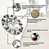 Berg Tectool Diamant-Schleifteller (Durchmesser: 125 mm, Geeignet für: Farbe) | BAUHAUS