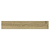 Momastela Feinsteinzeugfliese Heartwood (120 x 23 cm, Miele, Matt) | BAUHAUS