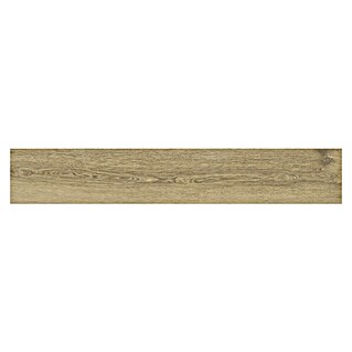 Momastela Feinsteinzeugfliese Heartwood (120 x 23 cm, Miele, Matt)