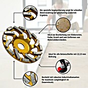 Berg Tectool Diamant-Schleifteller (Durchmesser: 125 mm, Geeignet für: Beton) | BAUHAUS
