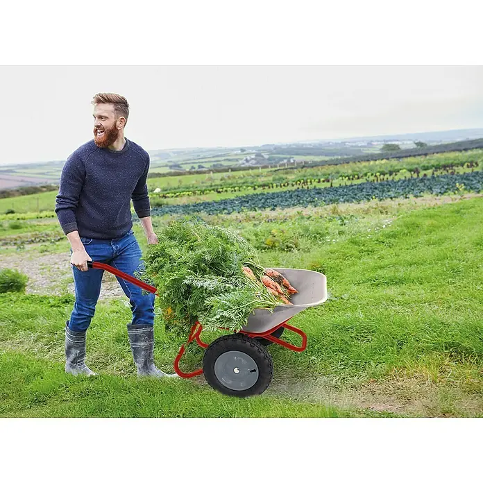 Gartenschubkarre "Zweirad" - 100 l, Stahl, Traglast: 160 kg - Graue Schubkarre mit rotem Gestell, beladen mit frischen Karotten, wird von einem Mann geschoben.