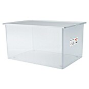 BAUHAUS Caja de almacenaje (L x An x Al: 57,5 x 39 x 30 cm, Plástico, Transparente, 50 l) | BAUHAUS