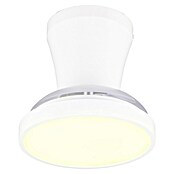 Trio Lighting Ventilador de techo Moss (Blanco, 22 cm, 18 W, Blanco cálido) | BAUHAUS