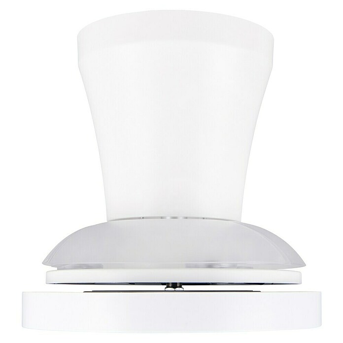 Trio Lighting Ventilador de techo Moss (Blanco, 22 cm, 18 W, Blanco cálido) | BAUHAUS