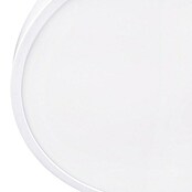 Trio Lighting Ventilador de techo Moss (Blanco, 22 cm, 18 W, Blanco cálido) | BAUHAUS