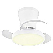 Trio Lighting Ventilador de techo Moss (Blanco, 22 cm, 18 W, Blanco cálido) | BAUHAUS