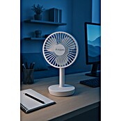 Fulmo Ventilador de sobremesa Voria (Blanco, 16,5 cm) | BAUHAUS