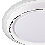 Trio Leuchten Stropni ventilator Saarela  (Promjer: 47 cm, 38 W, Topla bijela) | BAUHAUS
