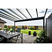 Gardendreams Terrassenüberdachung Elegance (B x T: 600 x 305,5 cm, Graualuminium, Verbundsicherheitsglas (VSG), Klar) | BAUHAUS
