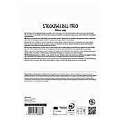 Sperli Steckzwiebeln Trio (Allium cepa) | BAUHAUS
