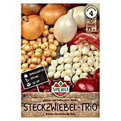 Sperli Steckzwiebeln Trio (Allium cepa) | BAUHAUS