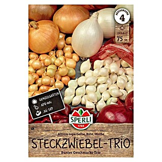 Sperli Steckzwiebeln Trio (Allium cepa)