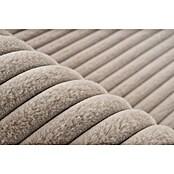 Hochflorteppich Plush (Taupe, 170 x 120 cm, 100% Polyester) | BAUHAUS