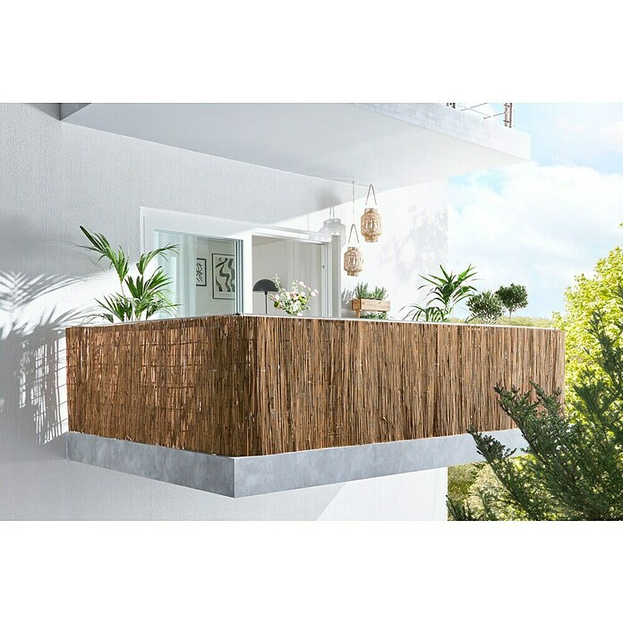 Gardol Schilfrohrmatte (3 x 1,5 m, Weide, Natur) | BAUHAUS