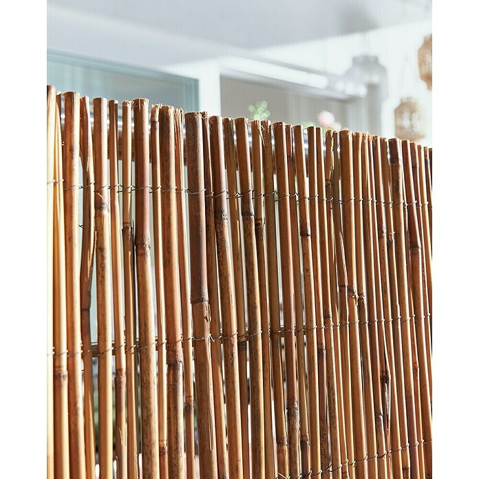 Gardol Schilfrohrmatte (3 x 1,5 m, Weide, Natur) | BAUHAUS