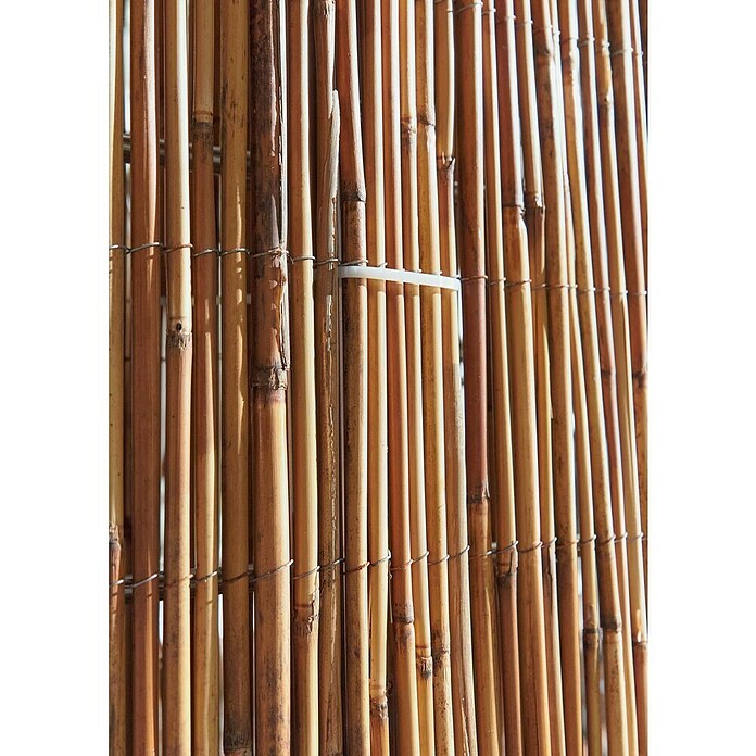 Gardol Schilfrohrmatte (3 x 1,5 m, Weide, Natur) | BAUHAUS