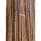 Gardol Schilfrohrmatte (3 x 1,5 m, Weide, Natur) | BAUHAUS