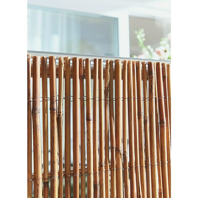 Gardol Schilfrohrmatte (3 x 1,5 m, Weide, Natur) | BAUHAUS