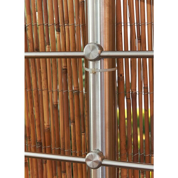Gardol Schilfrohrmatte (3 x 1,5 m, Weide, Natur) | BAUHAUS