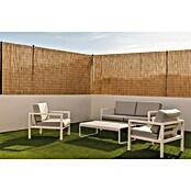 Ocultación de junco natural tejido (L x Al: 3 x 2 m, Apto para: Ocultaciones, Natural) | BAUHAUS