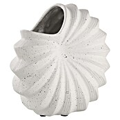 Eglo Vase Otsuchi (L x B x H: 20,5 x 11 x 19,5 cm, Creme, Polyresin) | BAUHAUS