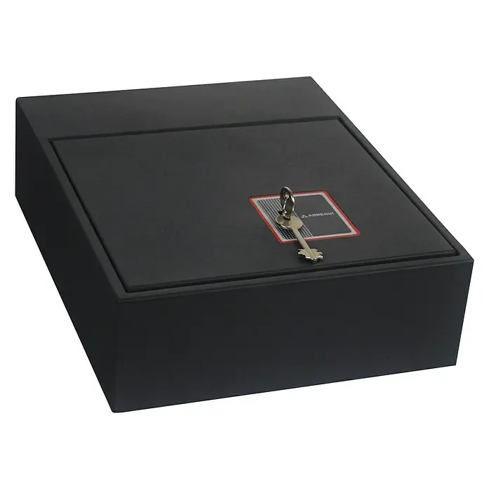 Arregui Caja fuerte Basa 20000-S7K - L x An x Al: 31 x 38 x 11 cm, Tipo de bloqueo: Cerradura de seguridad con doble paletón - Caja fuerte negra con llave para el almacenamiento seguro de objetos de valor. Seguridad robusta y fiable.