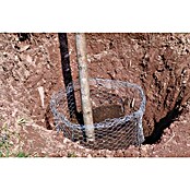 Zaštitna mreža protiv voluharica  (30 cm, Metal) | BAUHAUS