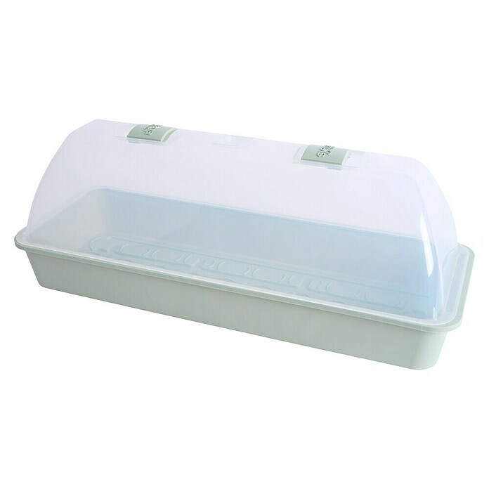 Siena Garden Zimmergewächshaus Stavanger (54 x 20 x 21,5 cm, Pastellgrün, Polypropylen) | BAUHAUS