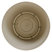 Siena Garden Pflanzgefäß Tarifa Pure (Ø x H: 32,5 x 28 cm, Creme, Material aus Polypropylen, 1 Stk.) | BAUHAUS