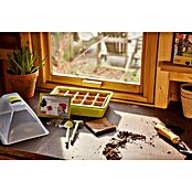 Anzucht-Set Zwergengarten (29 x 19 x 19 cm, Kunststoff) | BAUHAUS