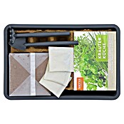 Siena Garden Anzucht-Set MALMÖ (Anthrazit, 29 x 19 x 19 cm, Kunststoff) | BAUHAUS