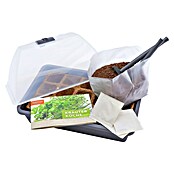 Siena Garden Anzucht-Set MALMÖ (Anthrazit, 29 x 19 x 19 cm, Kunststoff) | BAUHAUS